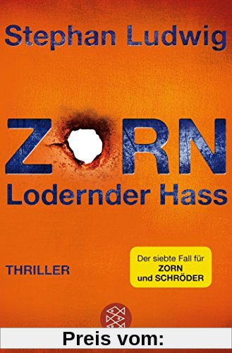 Zorn 7 - Lodernder Hass: Thriller